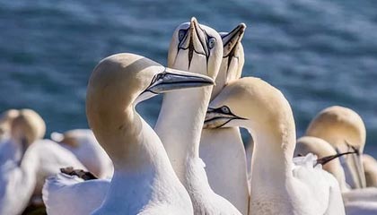 德清最新的高价医保个人账户余额微信查询方法分享(德清医保查询个人账户明细怎么查微信教程)