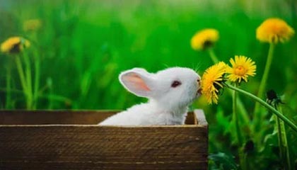 德清最新的高价医保卡惠民保险代扣怎么取消掉了方法分享(德清惠民医保怎么报销教程)